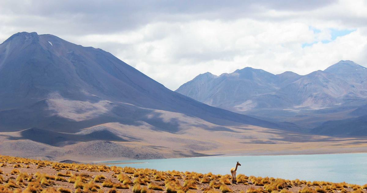 How AI-Powered Discovery Is Reshaping the Way We Book Local Tours and Adventures